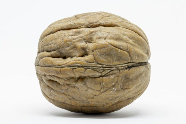 Μπόμπορα Δέσποινα Κετογονική διατροφή και επιληψία