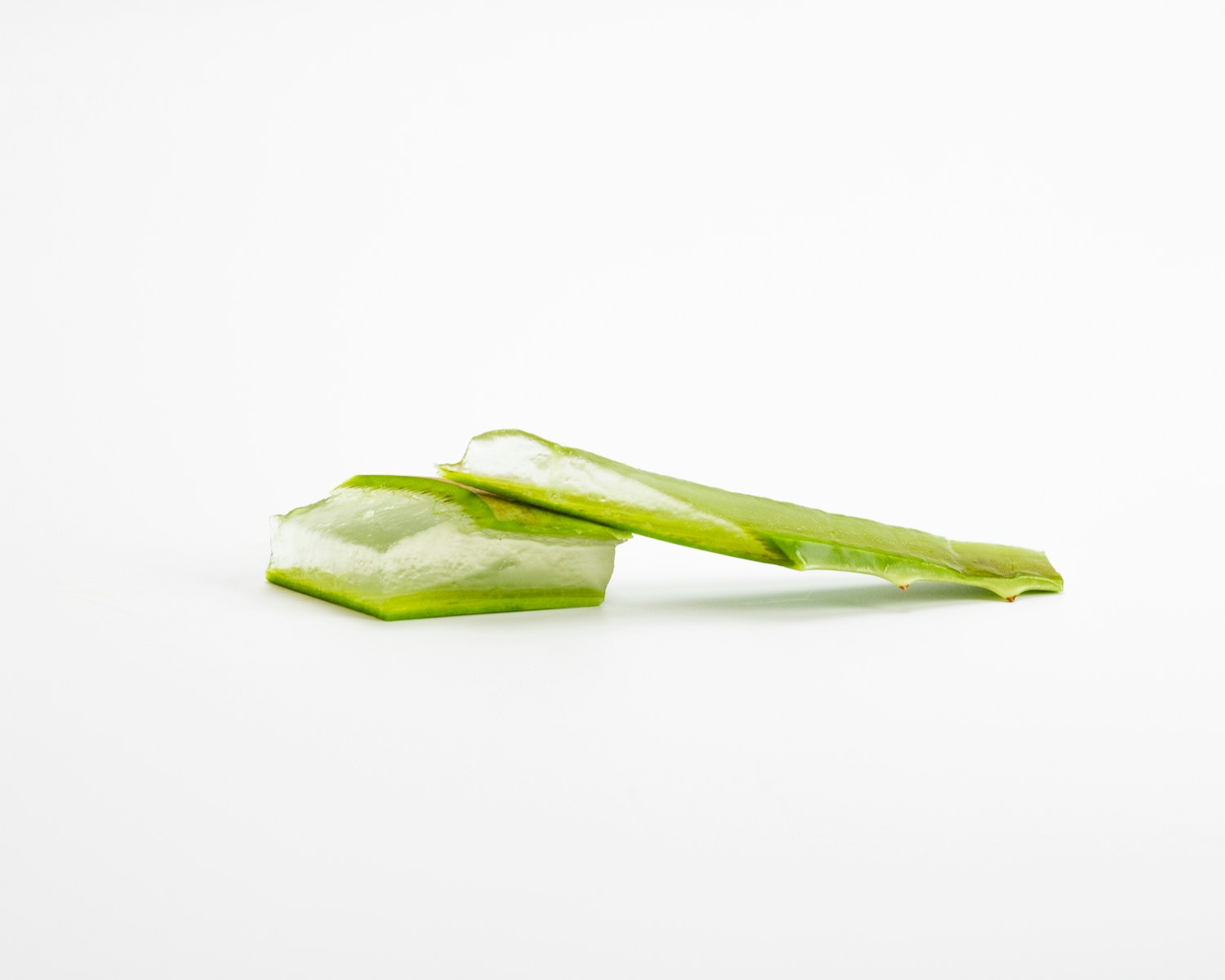 Όλη η αλήθεια για την Aloe vera